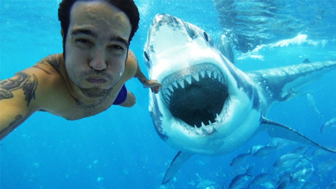 Selfie con squalo bianco dietro