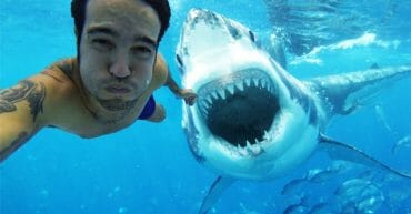 Selfie con squalo bianco dietro